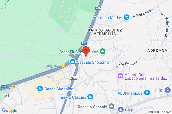 O VASSOUREIRO