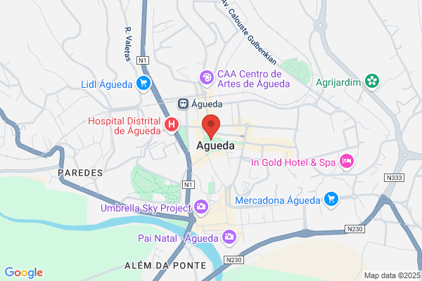 Telagueda-Telecomunicaiåes E Electranica De Agueda. Lda