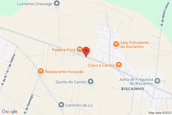 Nuno E B Feio Vale