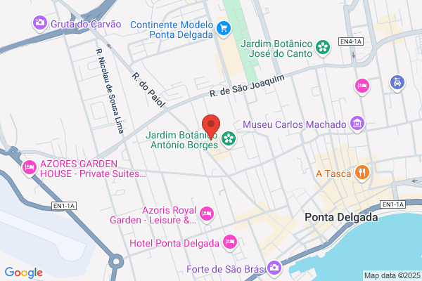 Alfacom-Sistemas De Informaiao. Lda