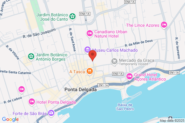 Dora M T S Andrade Vidal