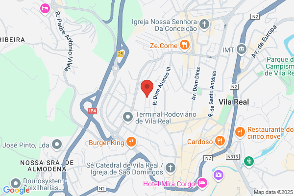 Clínica Veterinária De Vila Real Lda