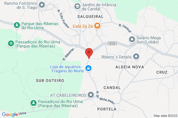 Hilário Néri Oliveira