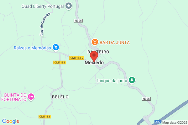 Alberto De Sa Martins Meixedo