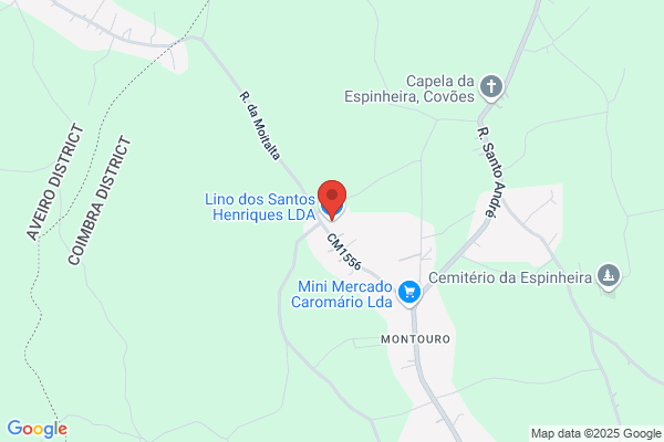 Henriques & Campante Lda