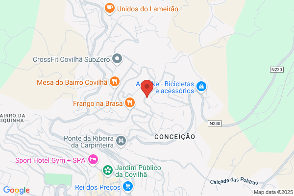 Maria F M B Tavares Figueiredo