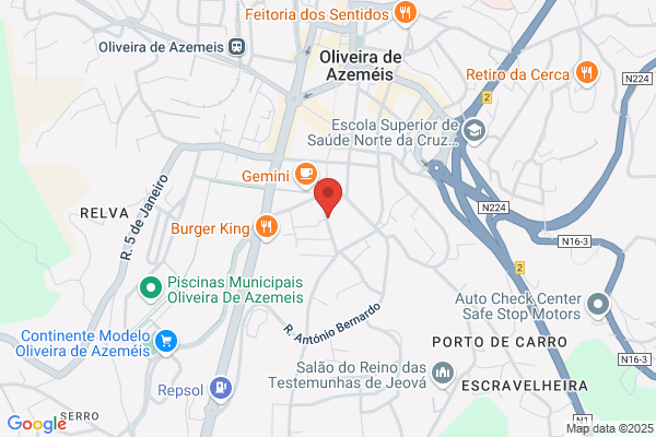 Clínica Veterinária Azemeisvete