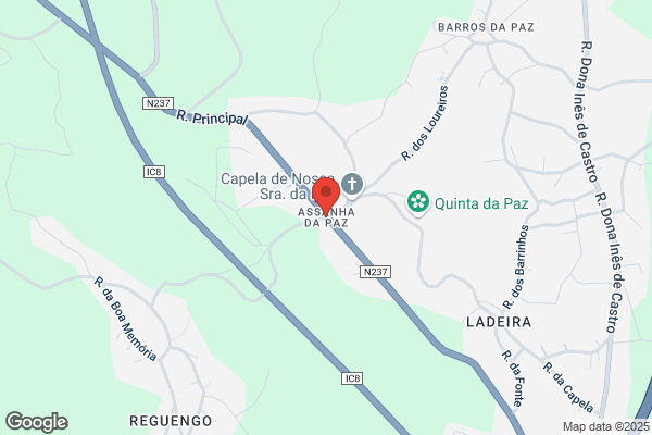 Olga M Mendes Cunha