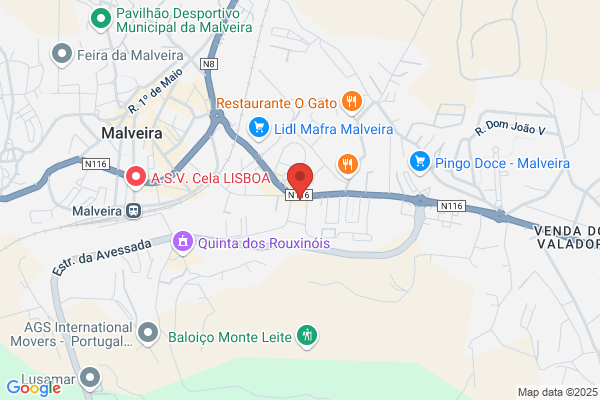 O Provérbio