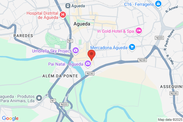 Táxis Águeda 24