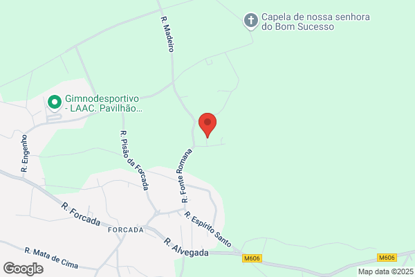 J A Ferreira Cardoso