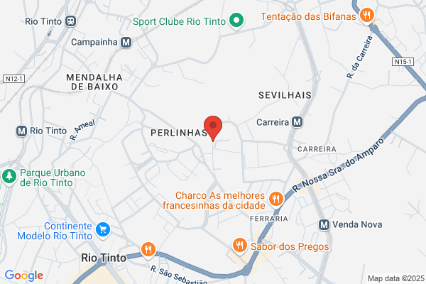 Fernando Manuel A Neves