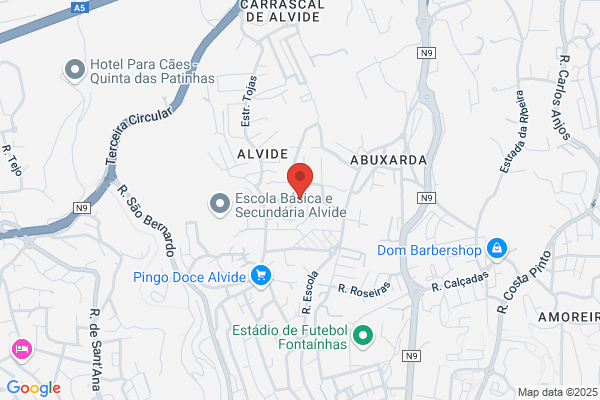 António M Alves Luzio