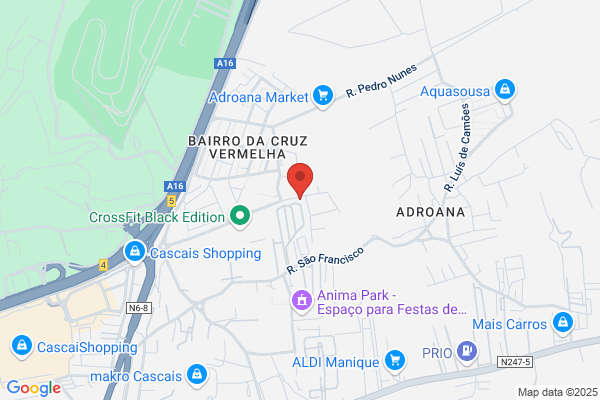 Castro Pacheco. Lda