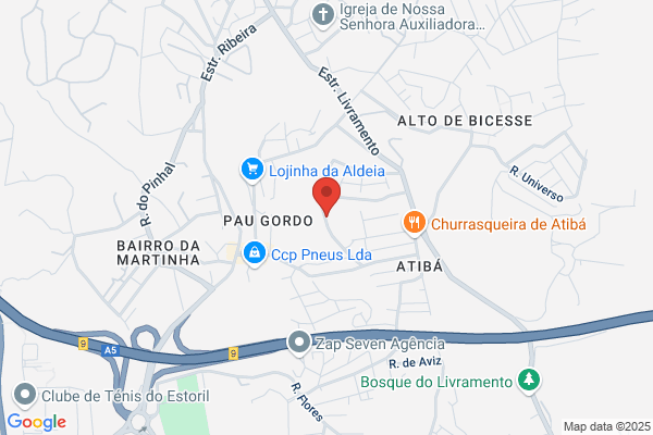 Dinistuques-Estuque E Construï Lda