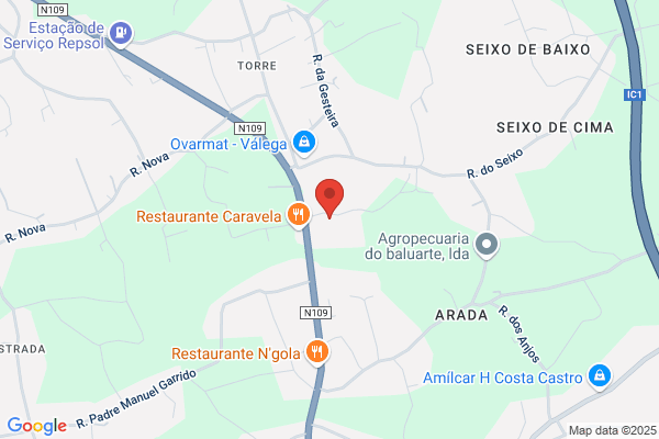 Edite V M C Almeida Valente