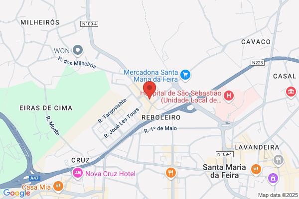 Elisabete M Teixeira Andrade