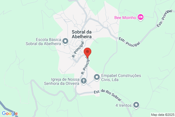 Maria A J Santos Alves