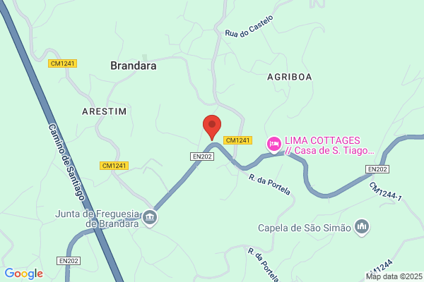 Antanio Carneiro Coelho Meireles