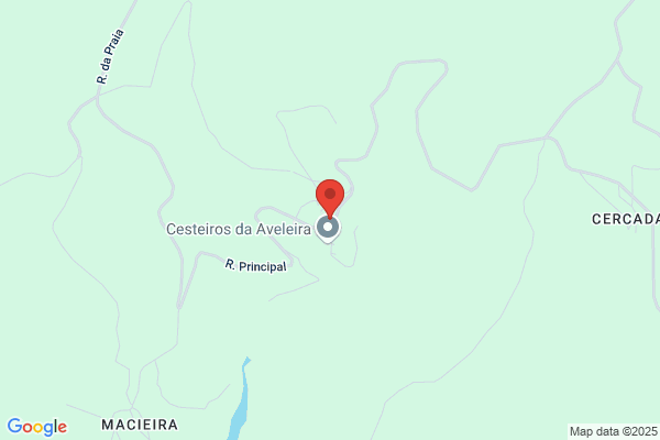 Fòica De Mis Alexandrino Ferreira Leü