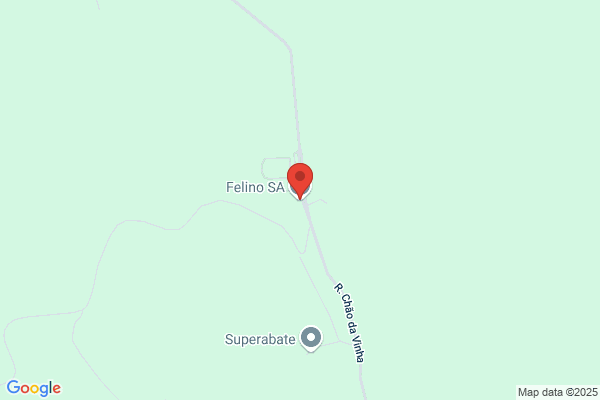 Felino-Fundiiao E Construiåes Mec nicas. Sa