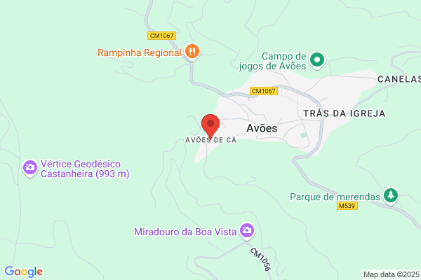 Lamego De Azevedo