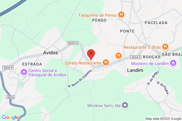 Fernando M M Ribeiro Azevedo