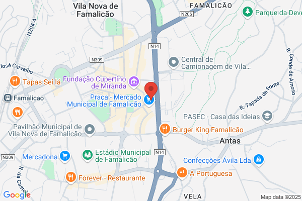 M F P Veloso