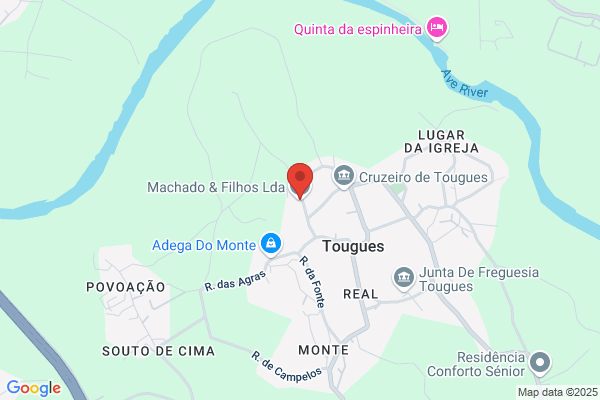 Machado & Filho Lda,a