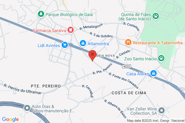 Alberto De Sa Martins Meixedo