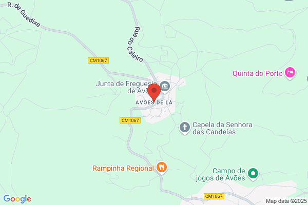 Voz De Lamego