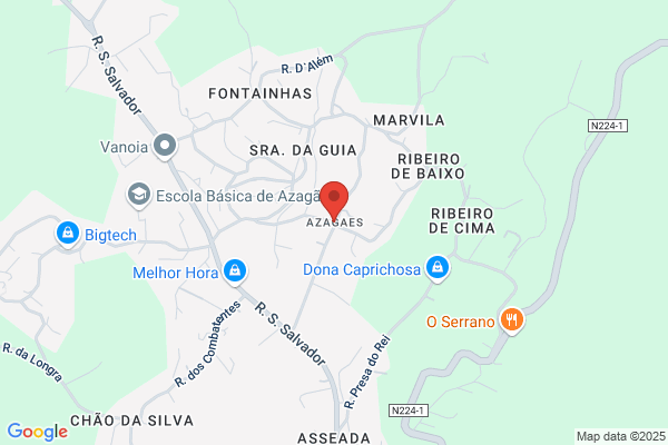 Albina Joaquina Santos Costa