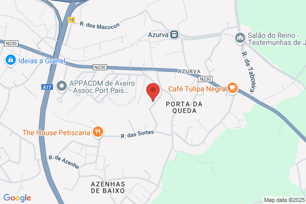Aquilino P Silva Antunes