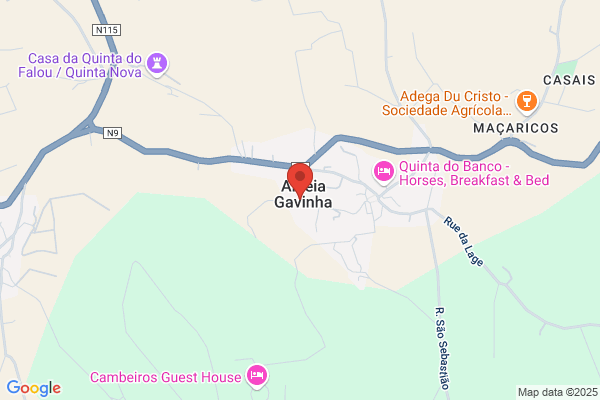 Hugo F Gaio Loureiro