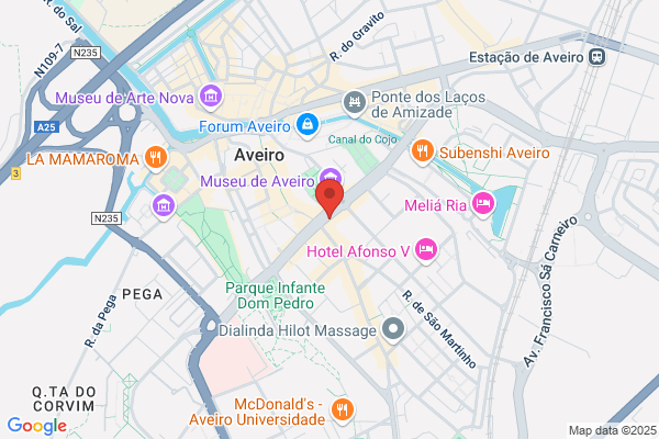 Paulo J Monteiro Marques