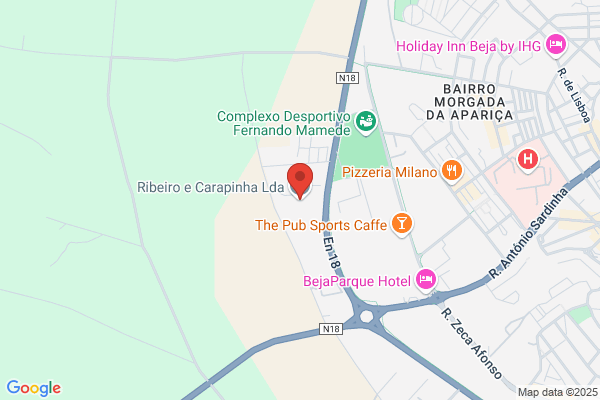 Maria J B Ribeiro Carrocinho