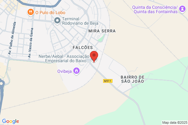 Nerbe-Neo Empresarial Da Regiàde Beja