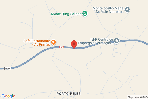 Joàm M Palminha Gabriel