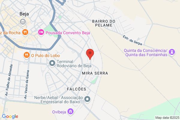 Hugo M Barbas Vazeira