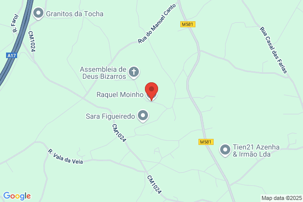 Raquel M O Ferreira Neves