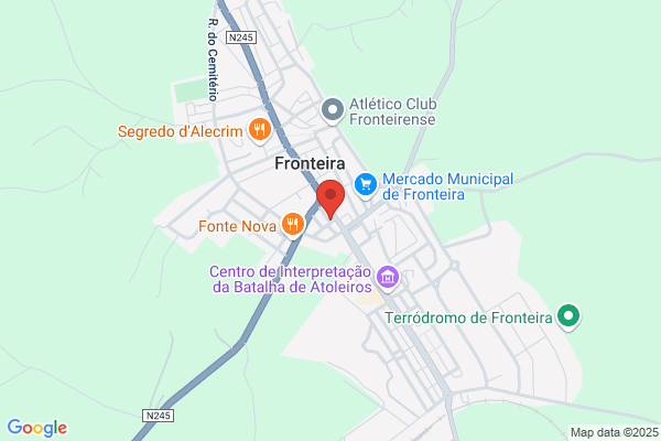 Maria F A Sequeira Neves