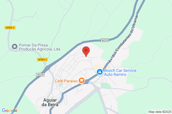 Cldia Da Fonseca Agostinho