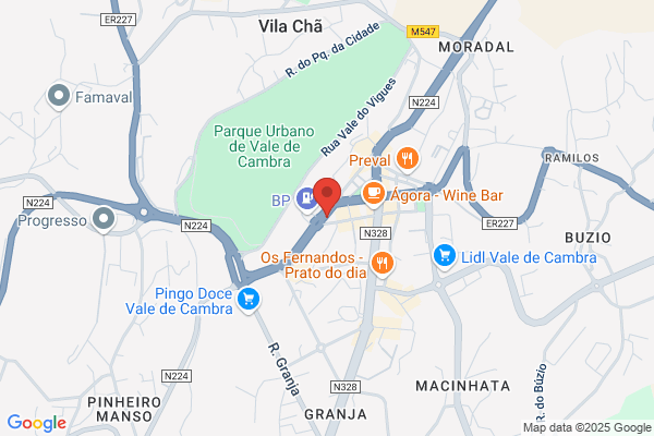 Soares & Pinho. Lda
