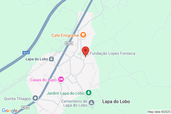 Léa M P Fonseca Cosme