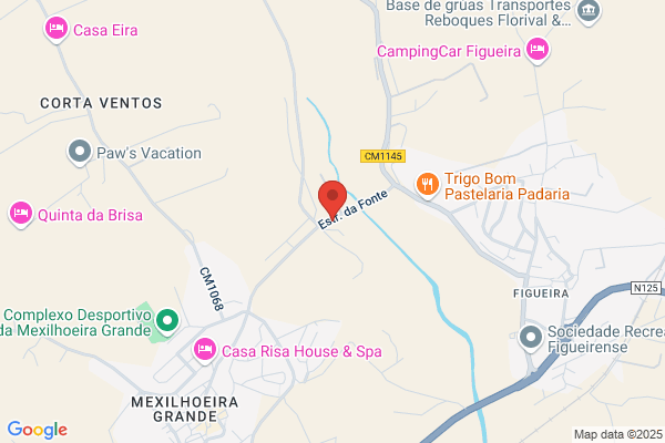 Maria D Monterio Ribeiro