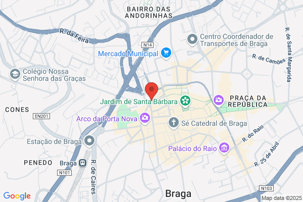 Ana R S B Braga Costa