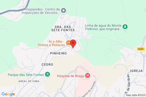 Clara Martins Ferreira