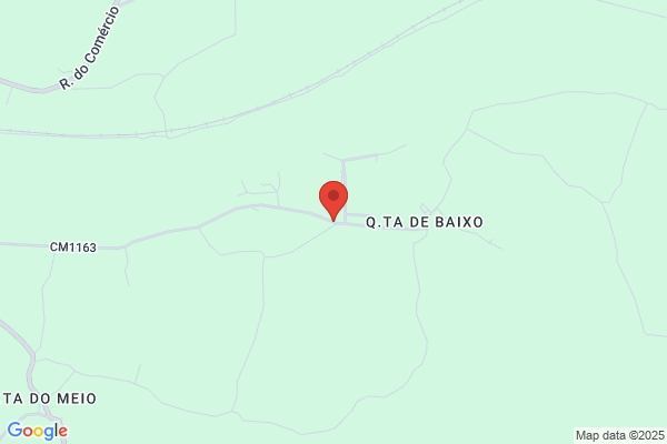 Antanio Fernando Carvalho Da Cunha