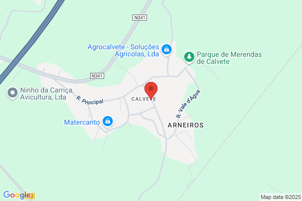 Anto M Pedrosa Oliveira