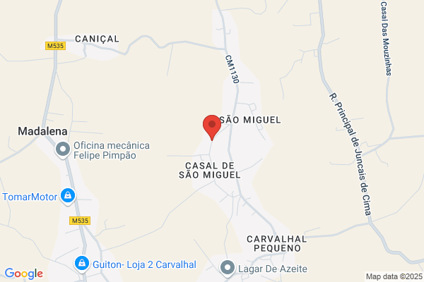 Luis Miguel R Ferreira